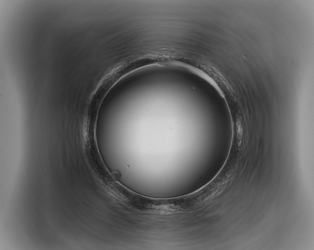 X0000116640396200912141239