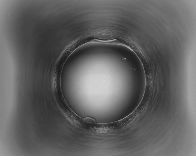 X0000116640400200912141239