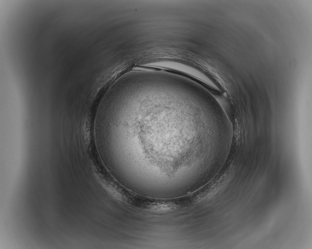 X0000116640402200912141239