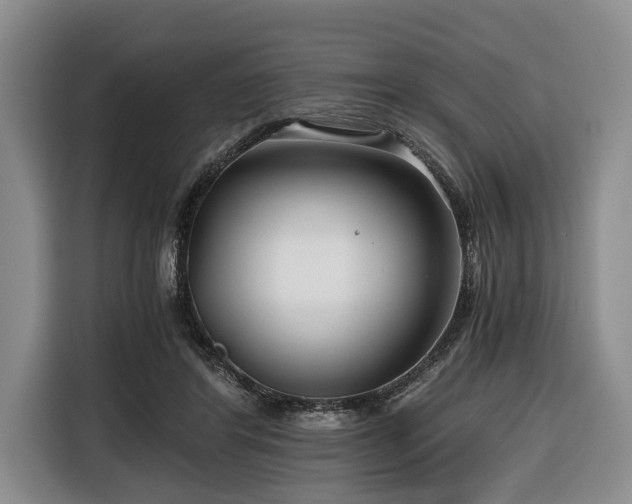 X0000116640404200912141239