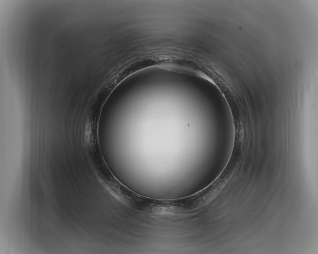 X0000116640408200912141239