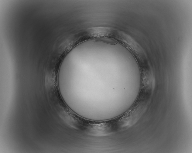 X0000116640411200912141239