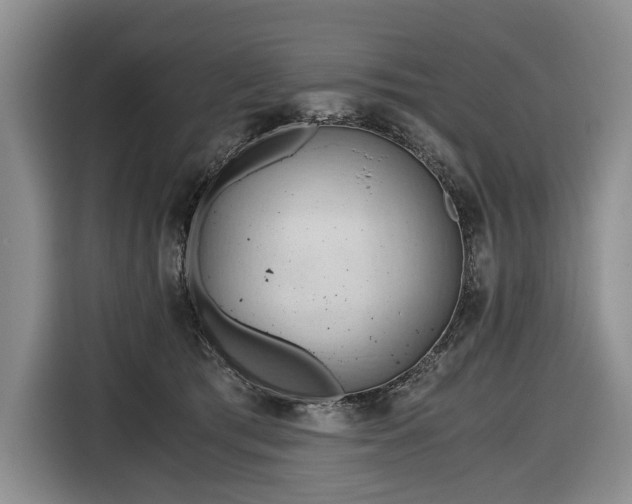 X0000116640417200912141239