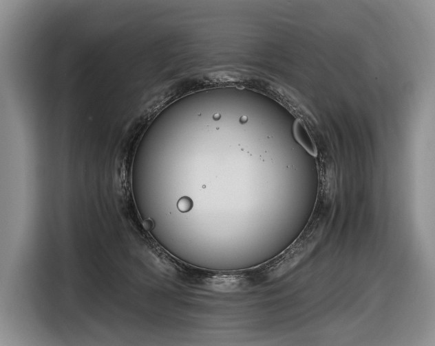 X0000116640418200912141239