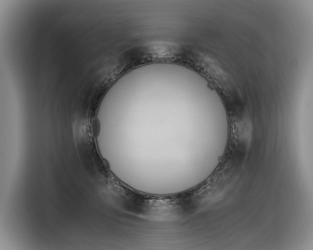 X0000116640419200912141239