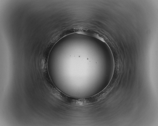 X0000116640420200912141239