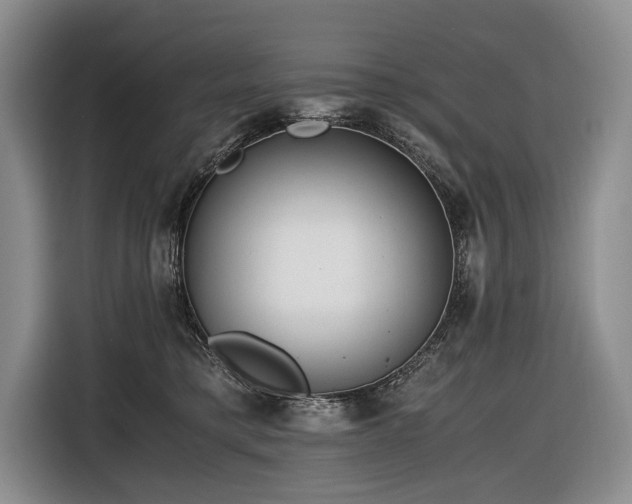 X0000116640421200912141239