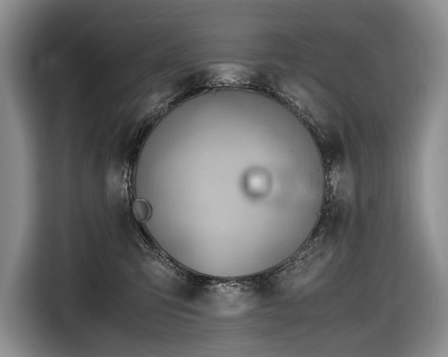 X0000116640423200912141239