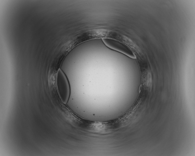 X0000116640425200912141239