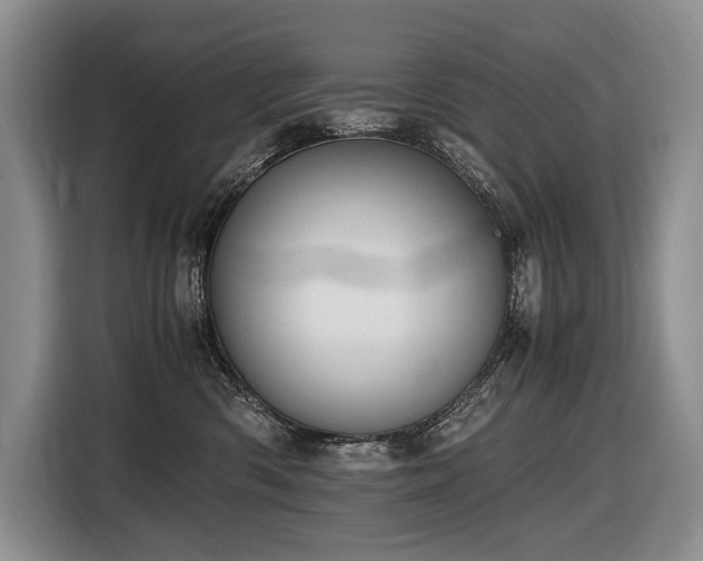 X0000116640426200912141239