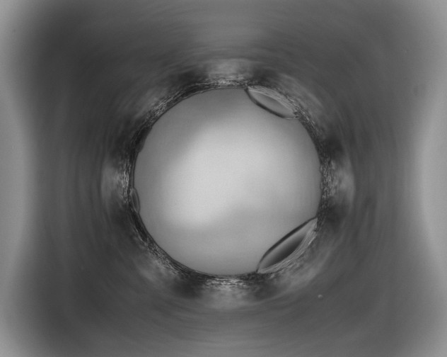 X0000116640427200912141239