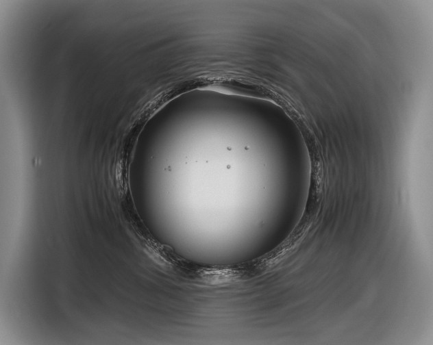 X0000116640428200912141239