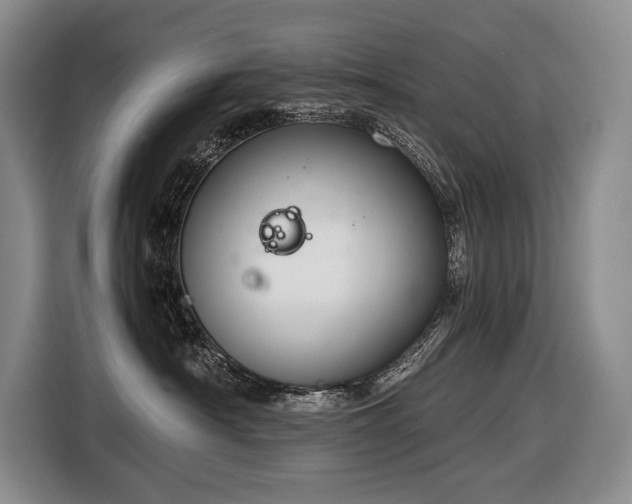 X0000116640430200912141239