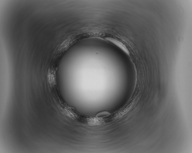 X0000116640432200912141239