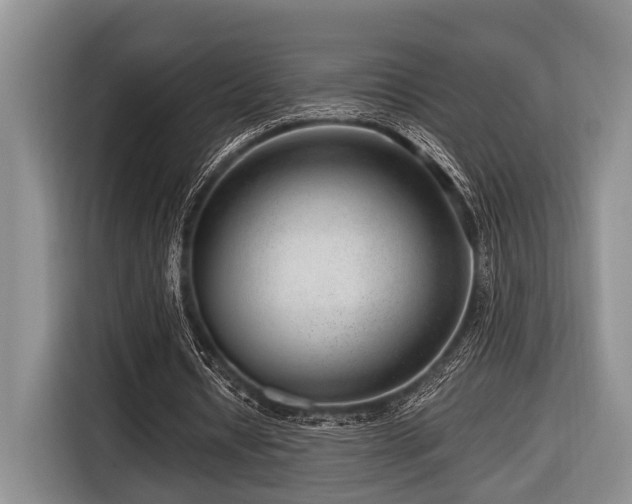 X0000116640434200912141238