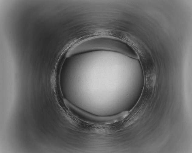 X0000116640436200912141238