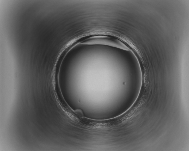 X0000116640438200912141238