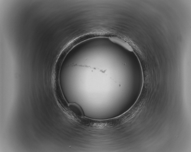 X0000116640440200912141238