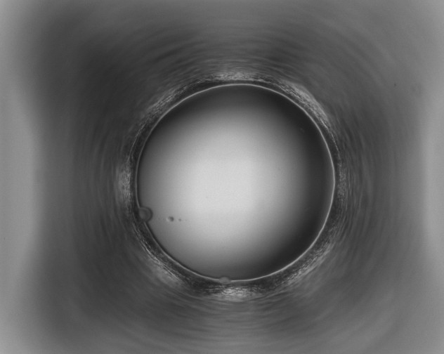 X0000116640441200912141238