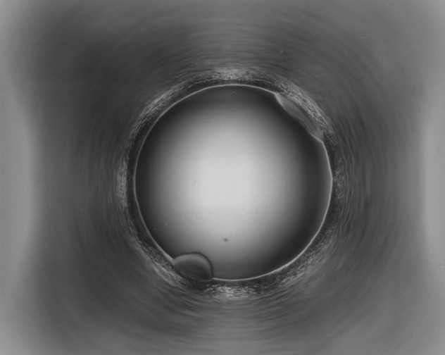 X0000116640442200912141238