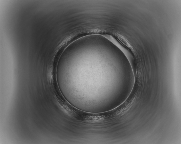 X0000116640443200912141238