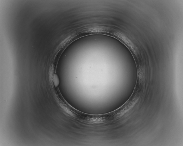 X0000116640445200912141238