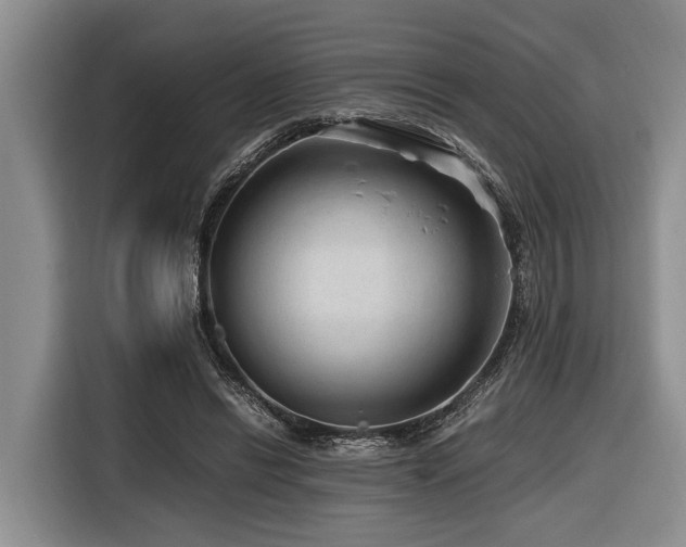 X0000116640446200912141238