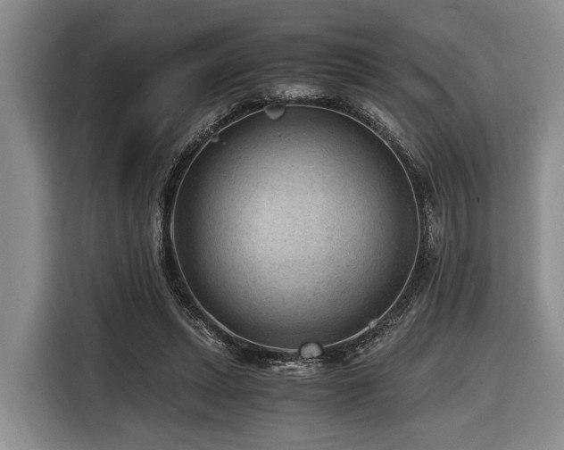 X0000116640447200912141238