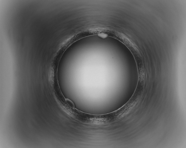 X0000116640448200912141239