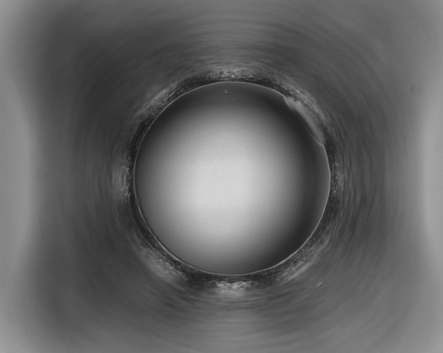 X0000116640450200912141239