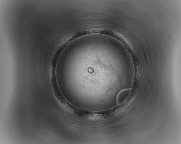 X0000116640451200912141239