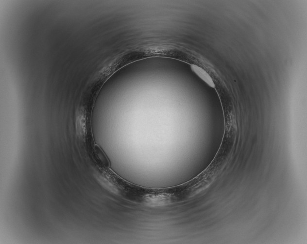 X0000116640452200912141239