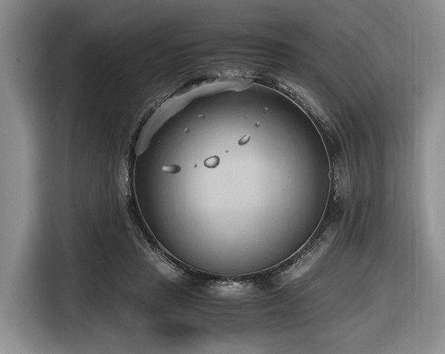 X0000116640453200912141239