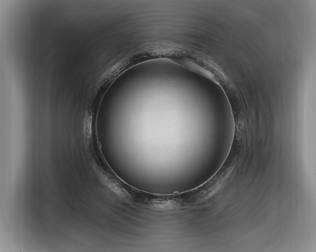 X0000116640454200912141239