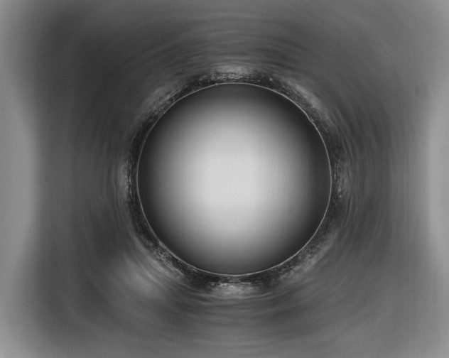 X0000116640455200912141239