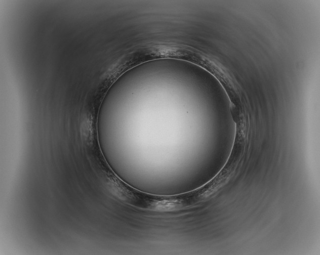 X0000116640461200912141239