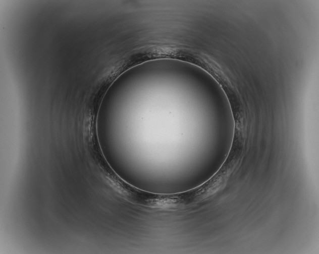 X0000116640462200912141239