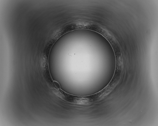 X0000116640463200912141239