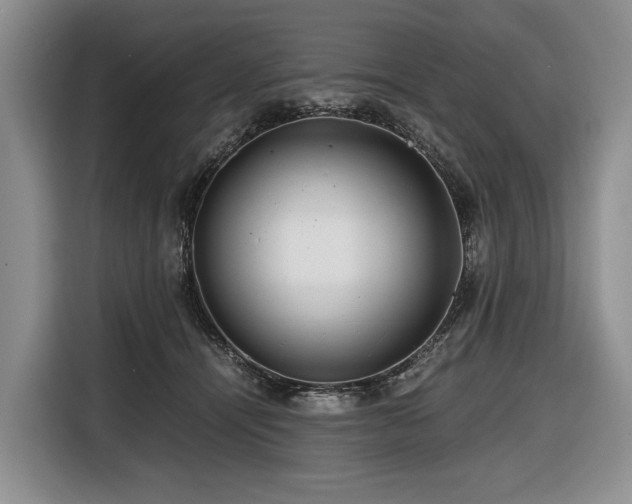 X0000116640464200912141239