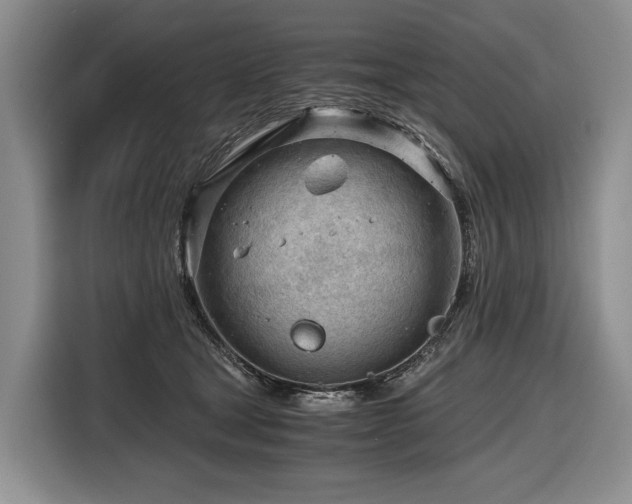 X0000116640465200912141239