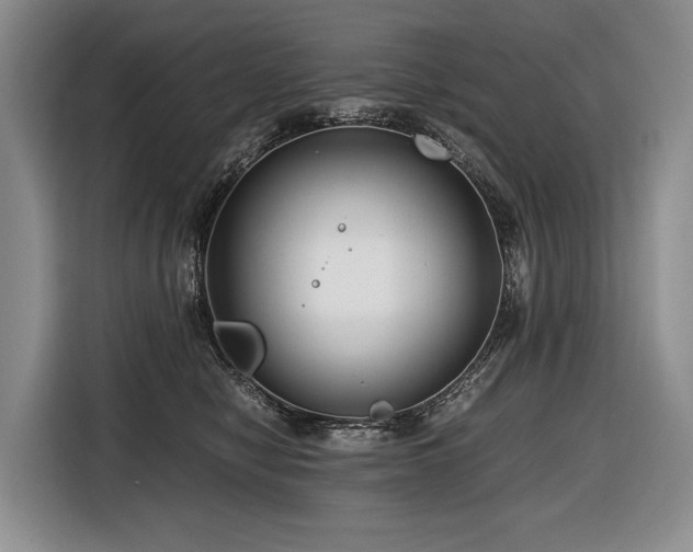 X0000116640470200912141239