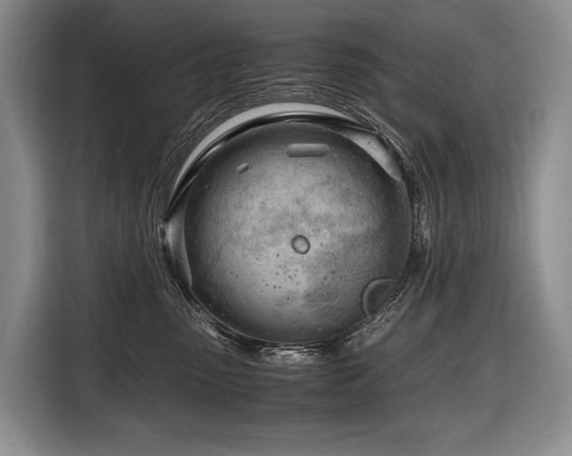 X0000116640475200912141239