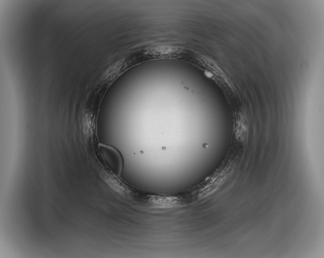 X0000116640476200912141239