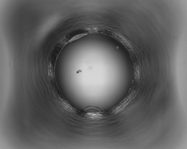 X0000116640477200912141239