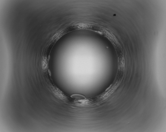 X0000116640478200912141239