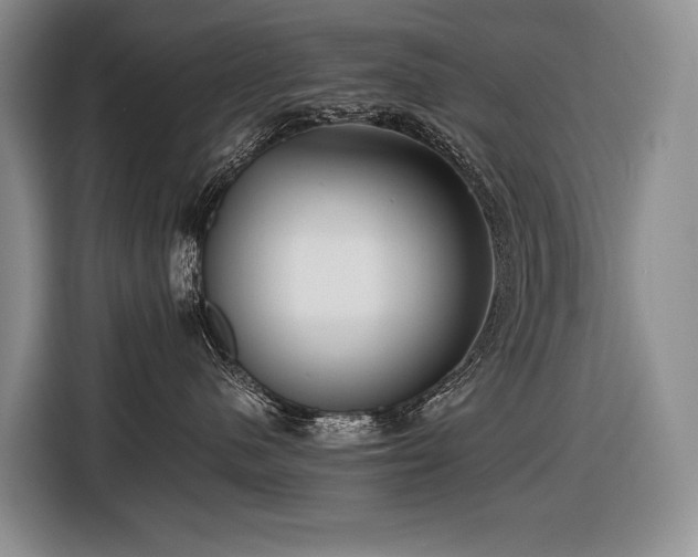 X0000116640480200912141239