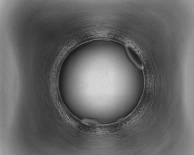 X0000116640481200912141238