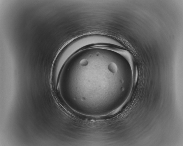 X0000116640484200912141238