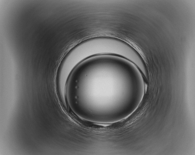 X0000116640485200912141238