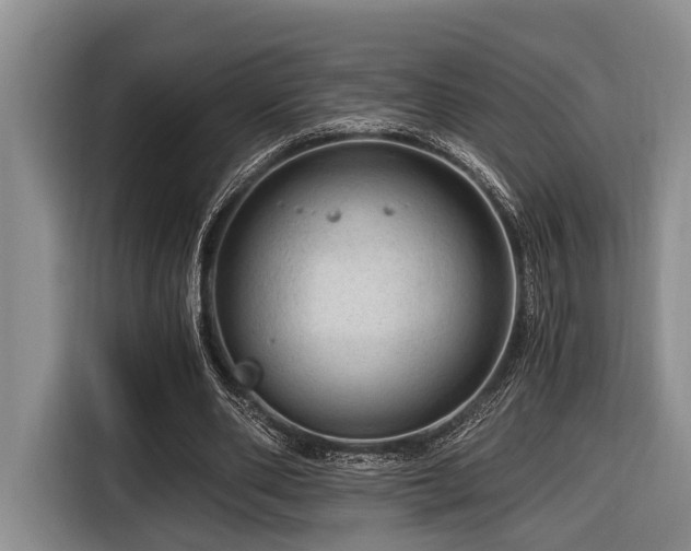 X0000116640486200912141238